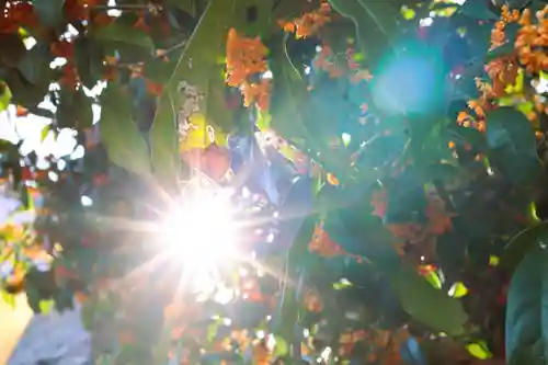 三津厳島神社(愛媛県)
