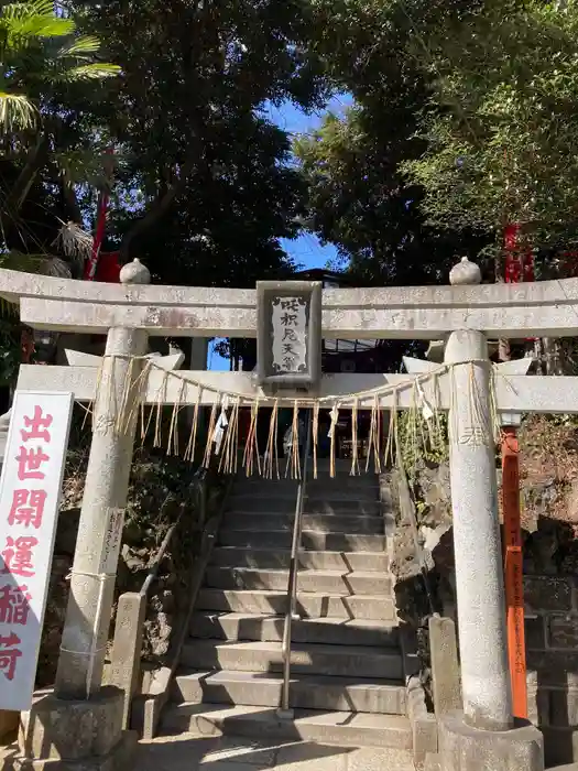 咤枳尼天堂 （出世稲荷）の鳥居