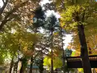 小野神社の自然