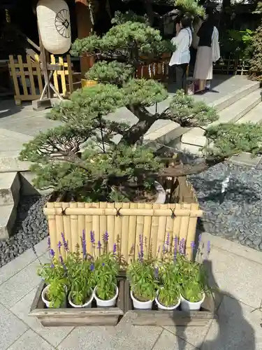 東京大神宮の庭園