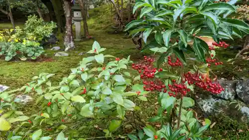 霊鑑寺門跡(京都府)