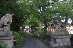 神炊館神社 ⁂奥州須賀川総鎮守⁂の狛犬