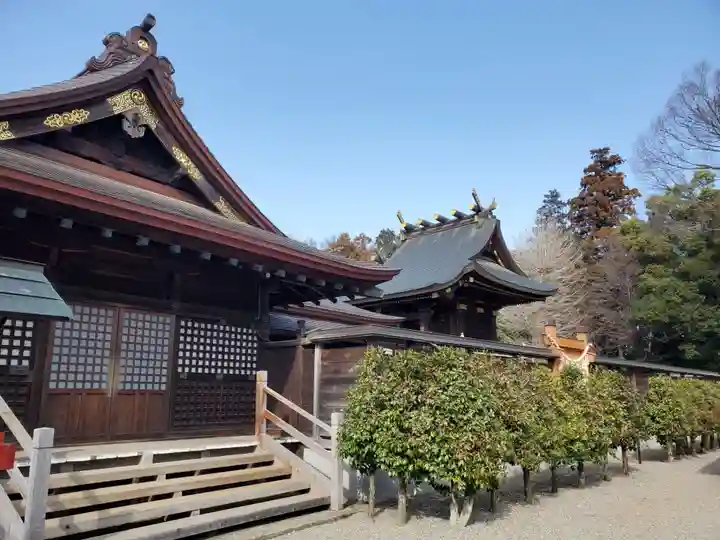鷲宮神社(埼玉県)