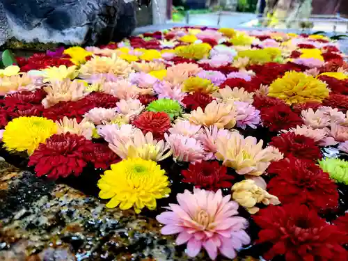 二本松神社の手水