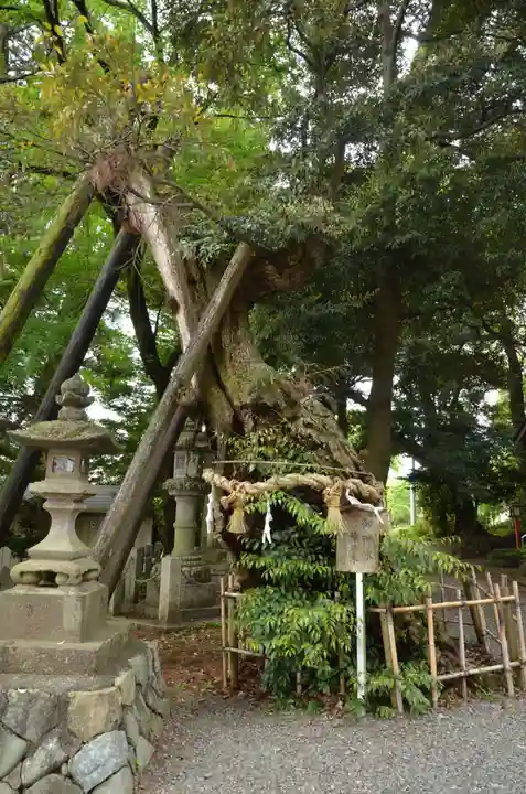 川尻八幡宮(神奈川県)
