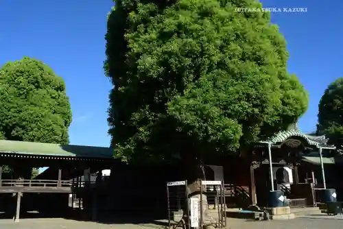題経寺（柴又帝釈天）(東京都)