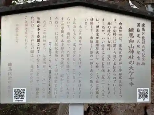 白山神社の御朱印