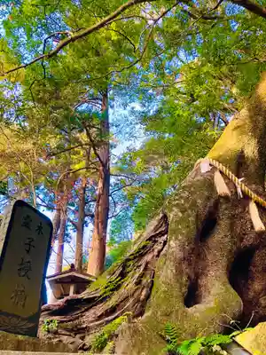 笠森寺(千葉県)