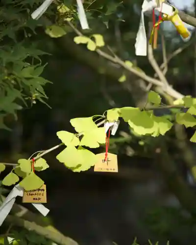 行田八幡神社(埼玉県)