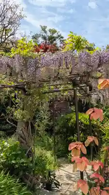 乘願院(京都府)