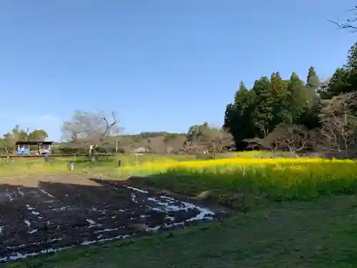 白山神社の景色