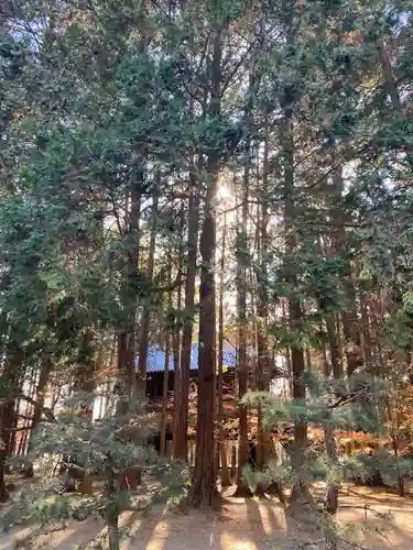 曹源寺(岡山県)