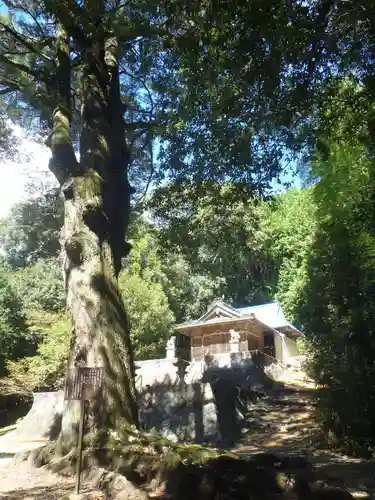 白山神社(愛知県)