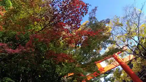 賀茂御祖神社（下鴨神社）(京都府)