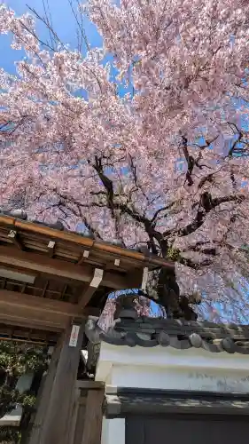 星光院(滋賀県)