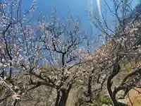 稲荷神社(借宿町)(栃木県)