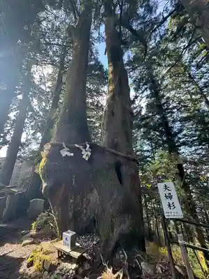 玉置神社(奈良県)