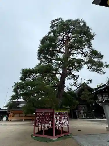 竹駒神社(宮城県)