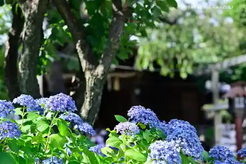 白山神社の庭園