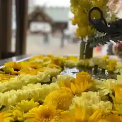 札幌諏訪神社の手水