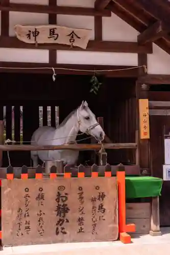 賀茂別雷神社（上賀茂神社）(京都府)
