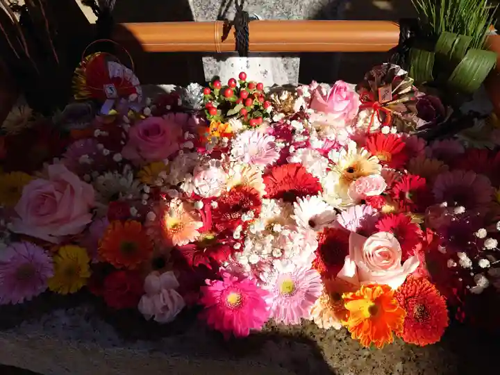 田間神社(千葉県)