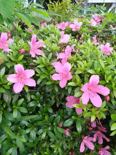 加藤神社(熊本県)
