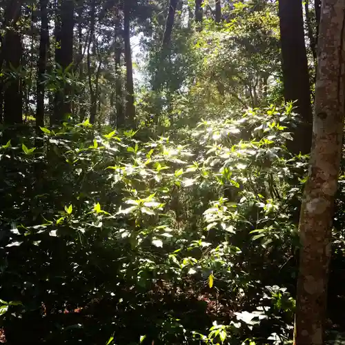 鹿島神宮の自然