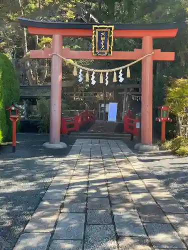 天河大辨財天社の鳥居