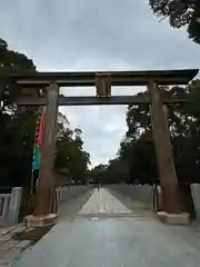 和泉國一之宮　大鳥大社の鳥居