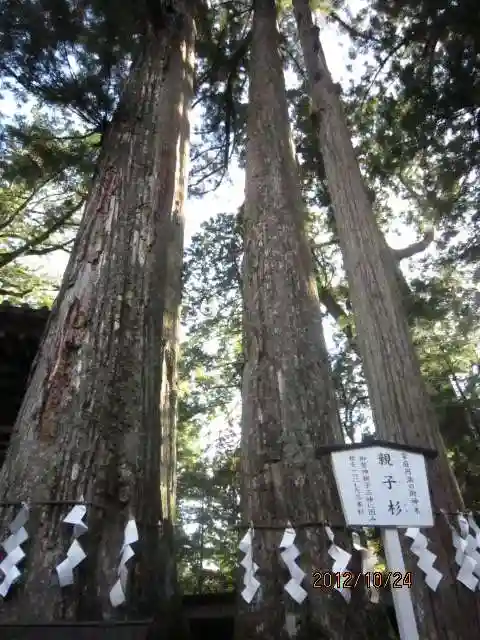 日光二荒山神社の自然