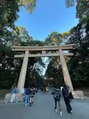 明治神宮(東京都)