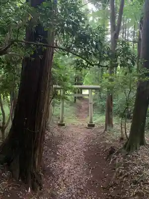 白幡神社(千葉県)