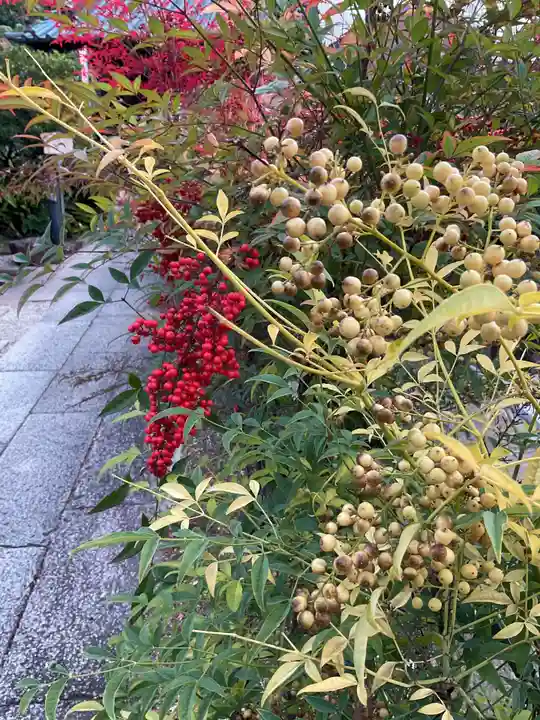 間々観音(龍音寺)(愛知県)