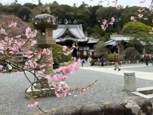 修禅寺(静岡県)