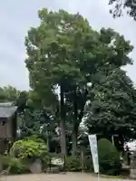 中野氷川神社の庭園