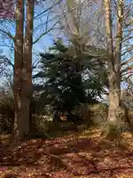 落文神社跡(千葉県)