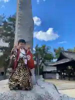 三津厳島神社の七五三参