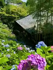 長谷寺(神奈川県)