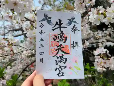 4月の片面御朱印(牛嶋天満宮 満天恵比須 八坂成就恵比須)も桜花を飾りました。