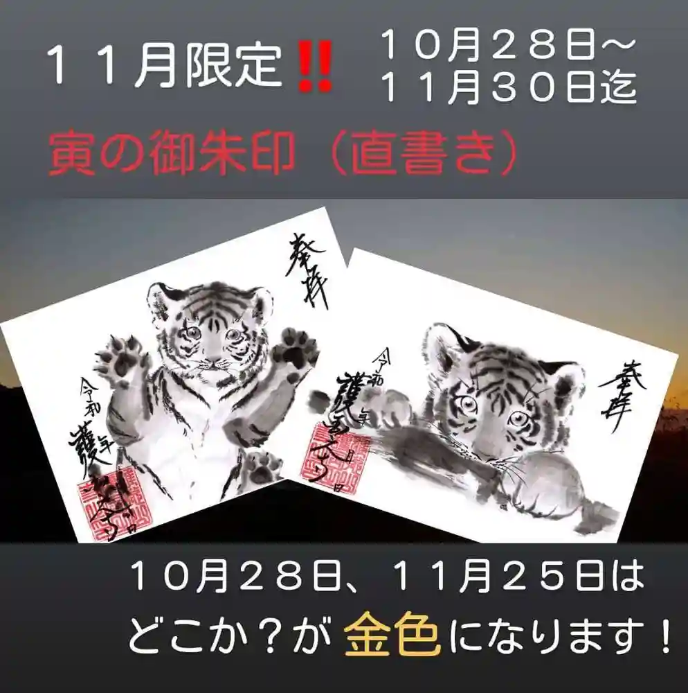 【宇宙】11月限定ステキな銀杏　直書き御朱印です 11月限定御朱印】神戸の生田神社にて、11月の限定御朱印6種