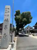 薬師山 林昌寺(愛知県)