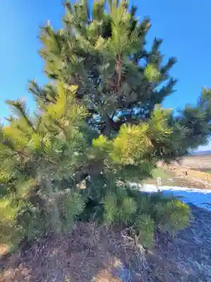 八幡宮（久保田町）(栃木県)