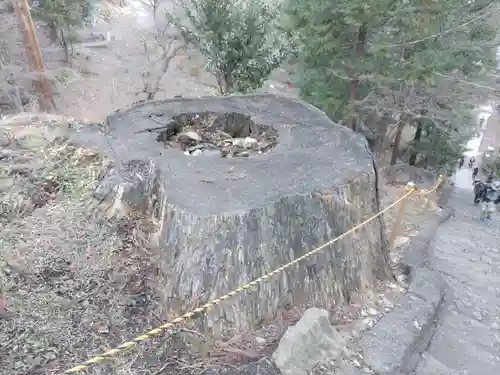 妙義神社の自然