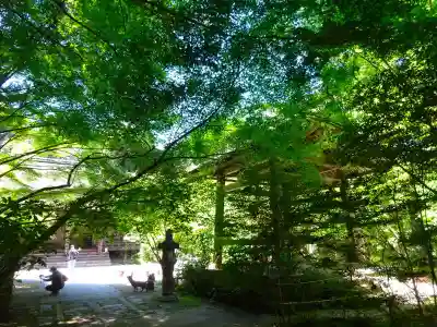 国宝　長寿寺(滋賀県)