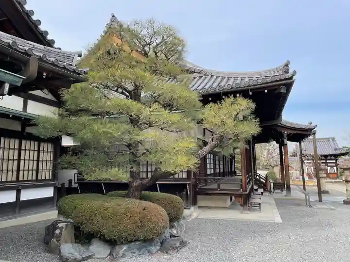 浄土院(京都府)