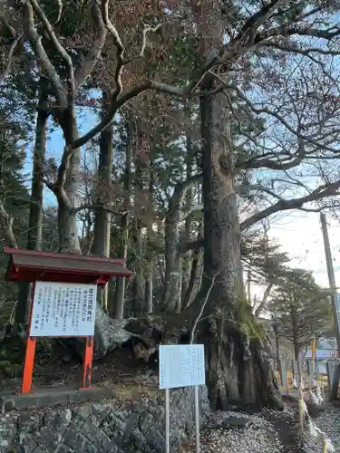 富士山東口本宮 冨士浅間神社の歴史