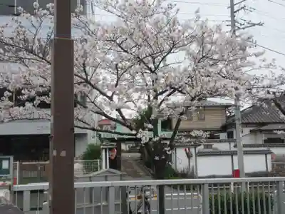 海徳寺(東京都)