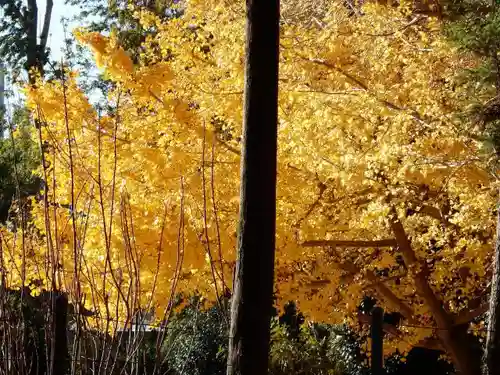 菟足神社の自然