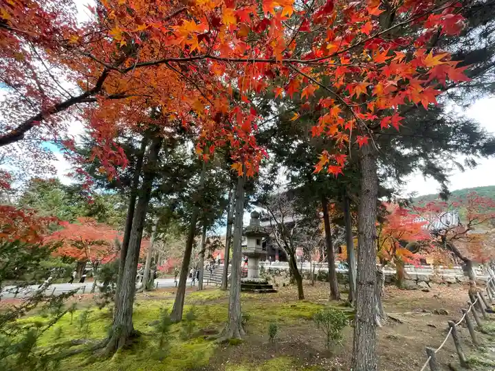 南禅院(京都府)